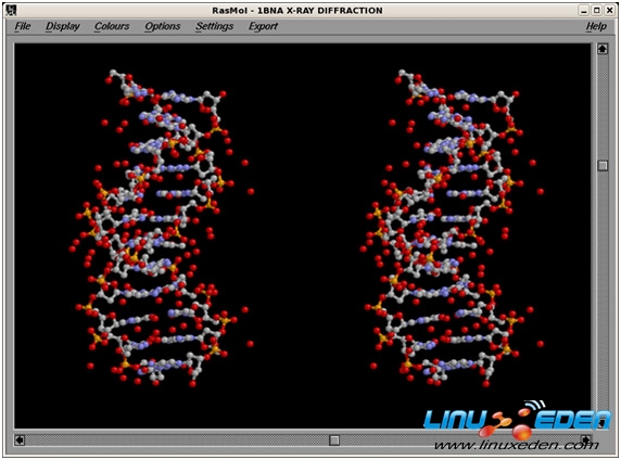 ʾṹ DNA ͼ