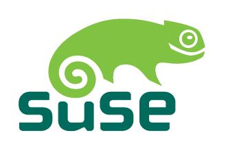 SUSE Linux Enterprise 11 SP1 