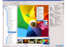 KDE——滷