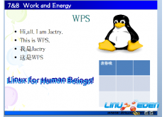 ɽ WPS For Linux һЩϢ 