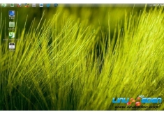 Linux Deepin 12.06 Beta2 ͼ