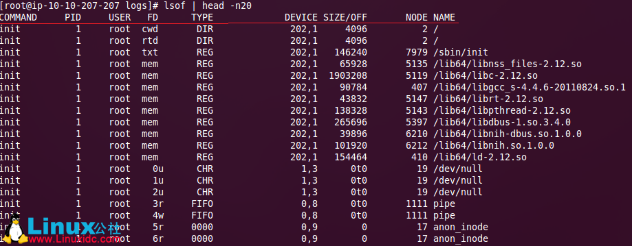 Linux lsof 命令详解_lsof命令详解