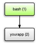 bash