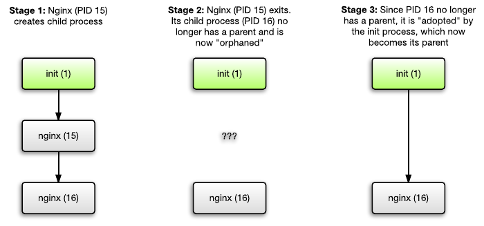 Orphaned process adoption