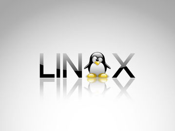 Linux ʹ TCP װǿȫļLinux ʹ TCP װǿȫļ