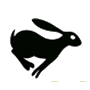 Jackrabbit