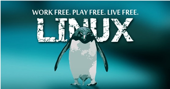 Linux ʵ