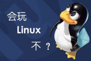 11Linuxݻָ߷11Linuxݻָ߷