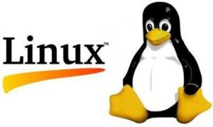 11Linuxݻָ߷11Linuxݻָ߷