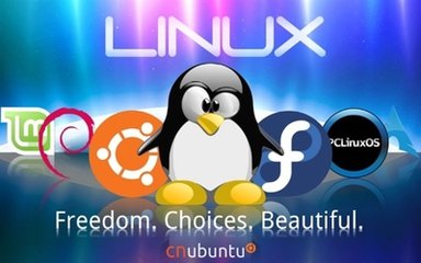 11Linuxݻָ߷11Linuxݻָ߷