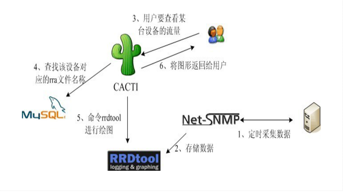 cactiװcactiװ