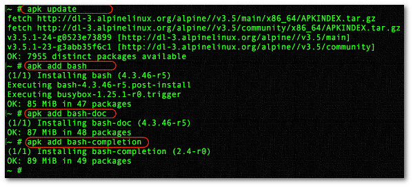 在 Alpine Linux 中安装 bash shell