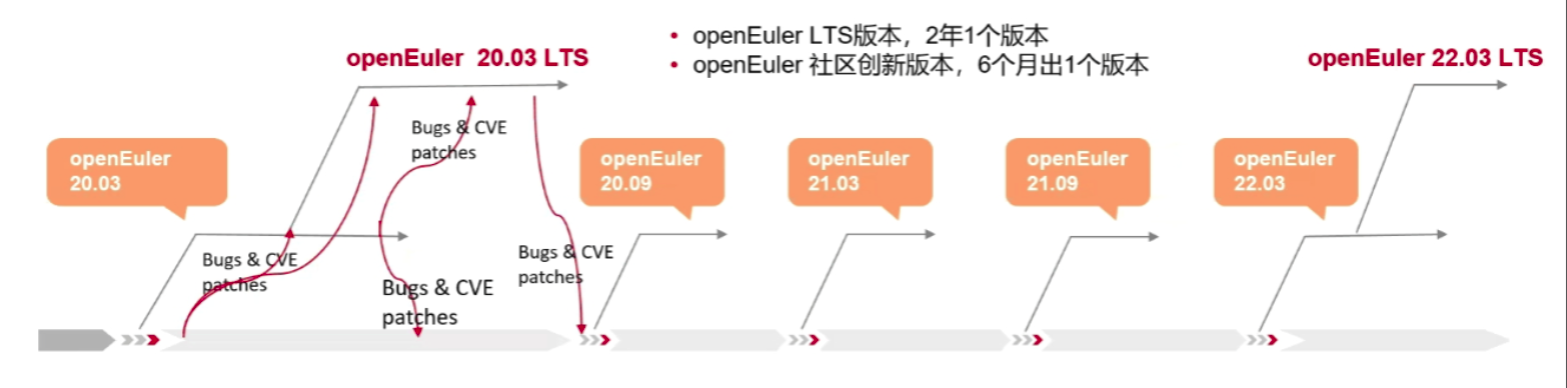 openEuler 20.03 LTS 发布，同时发布 4 款合作厂商发行版