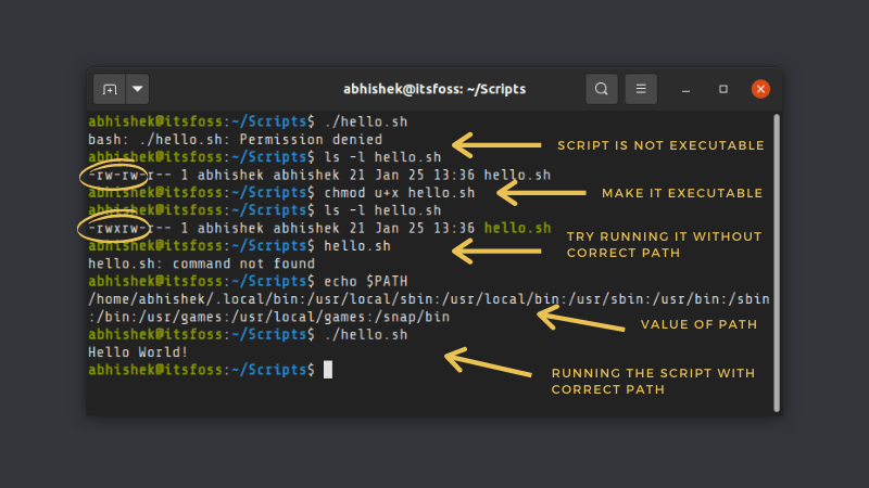 基础：如何在 Linux 中运行一个 Shell 脚本