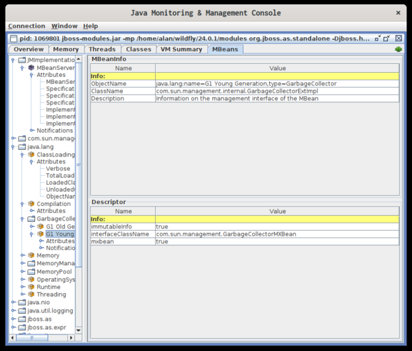 用 jconsole 在 Linux 上监控你的 Java