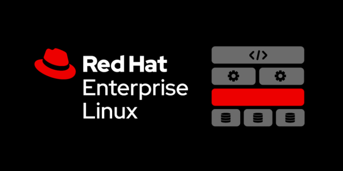 Red Hat Enterprise Linux 9.0 Beta 发布