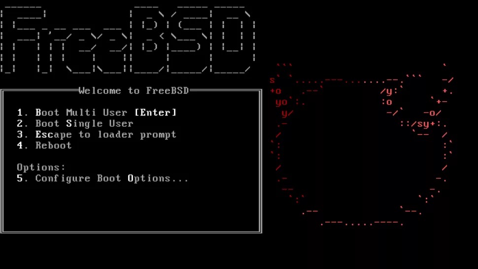 FreeBSD 大败局