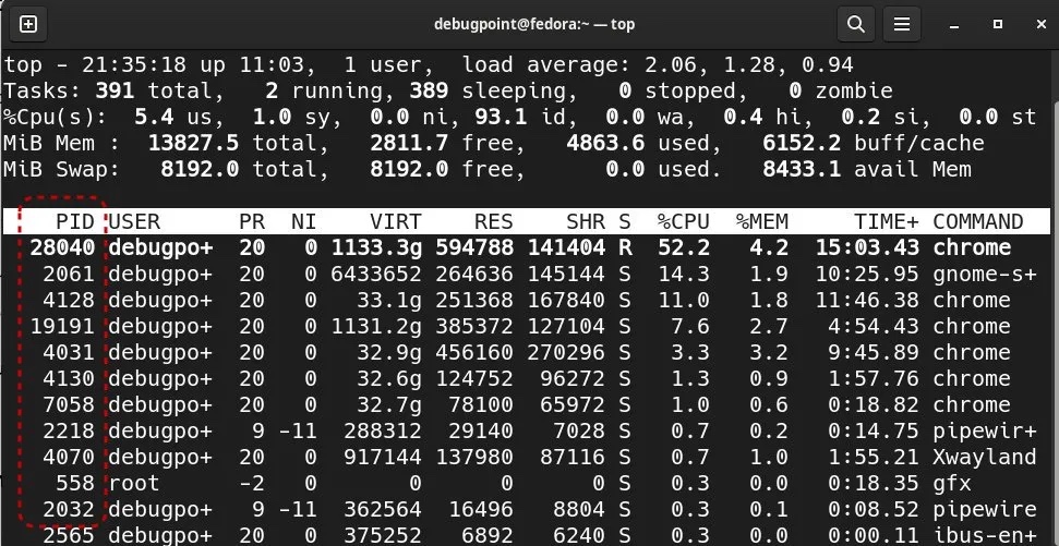 如何在 Linux 中找到一个进程 ID 并杀死它