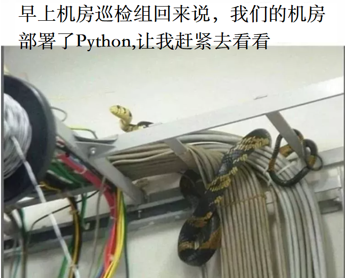 早上机房巡检组的人回来说我们的平台部署了Python让我赶紧去看看