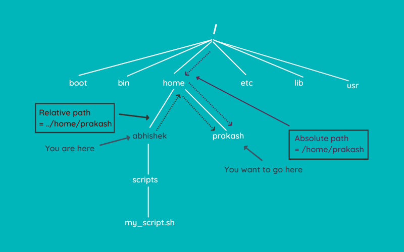 终端基础：Linux 终端中的目录切换