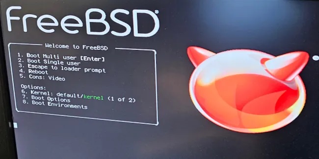 FreeBSD 14.2 Beta 1 发布，为下一个版本而努力