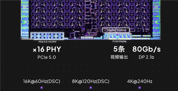 RTX 5090/D GB202内核照首次公开：922亿晶体管的暴力美学！