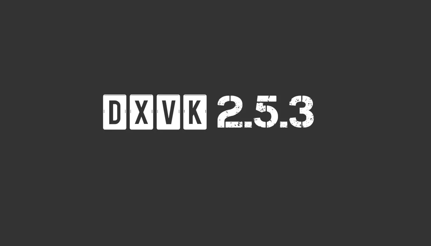 DXVK 2.5.3 为孤岛惊魂 5、马克思佩恩 3 和其他游戏带来改进